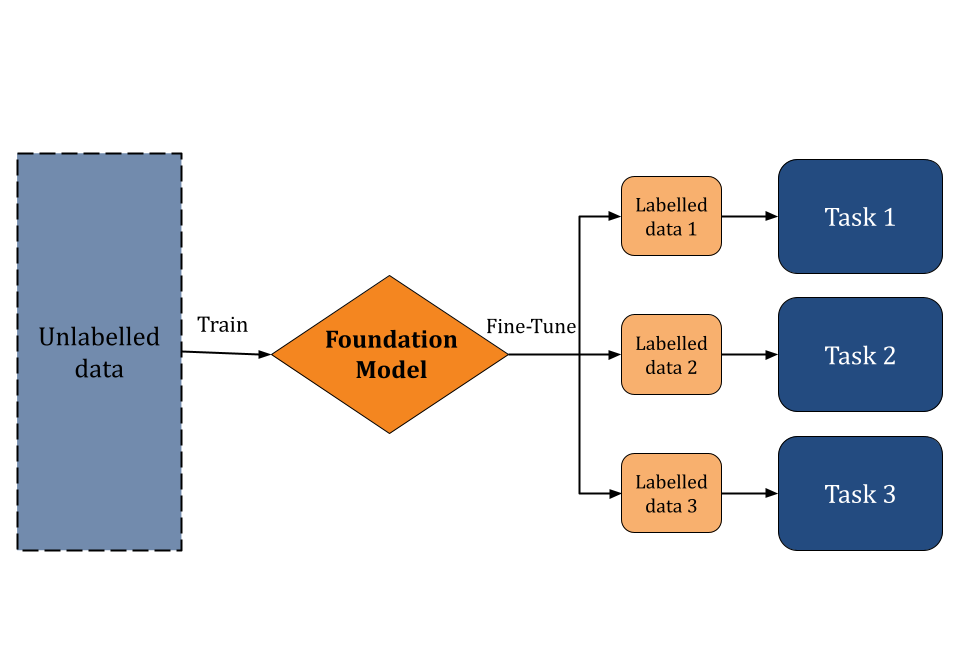 foundation_model_scheme.png